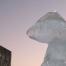 ice bear 1