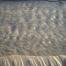 sea sand