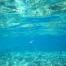underwater 2, Egypt